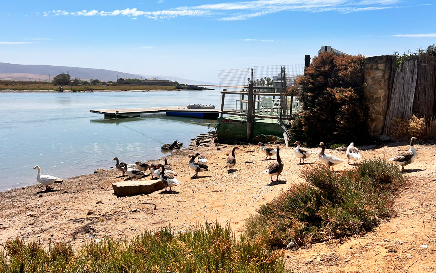 Ria de Barbate al atardecer-Hostal trafalgar